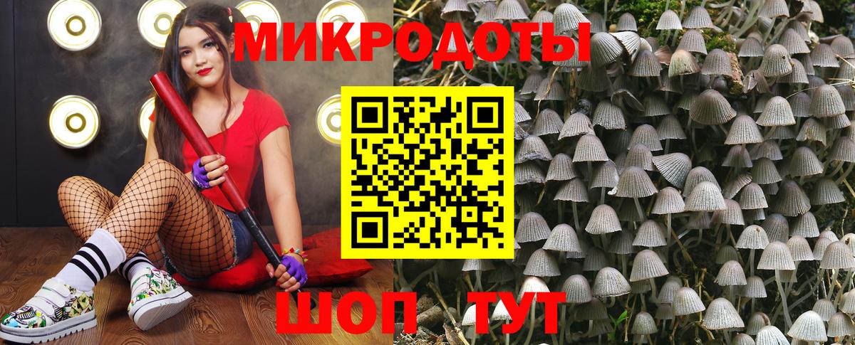 Псилоцибиновые грибы Cubensis Балашиха