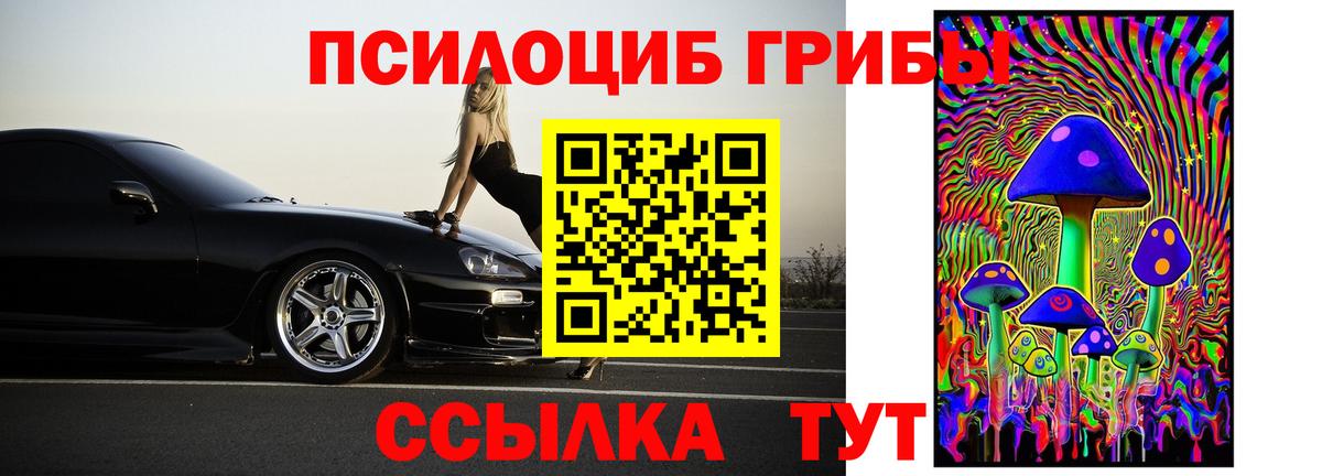 Балашиха  Галлюциногенные грибы Psilocybe  Вход с VPN 